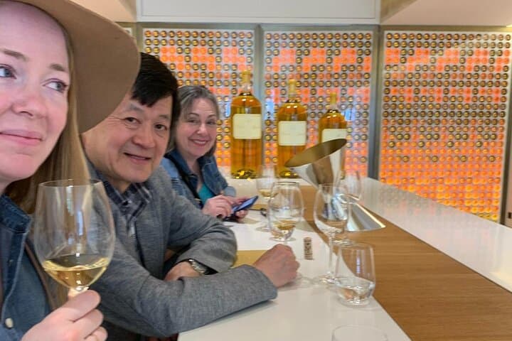 Private wine tour from Bordeaux in the Graves region