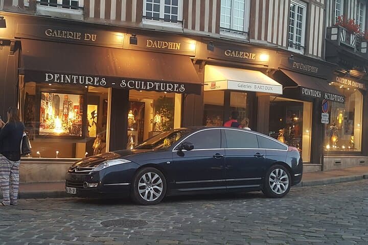 Arrival Private Transfer: Airport Charles de Gaulle OR Orly TO La Defense