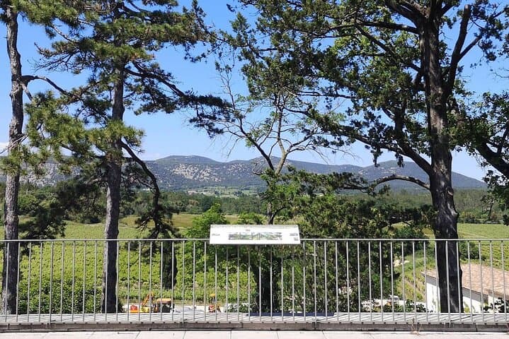 Guided tour of a winery in Vacquières with wine tasting