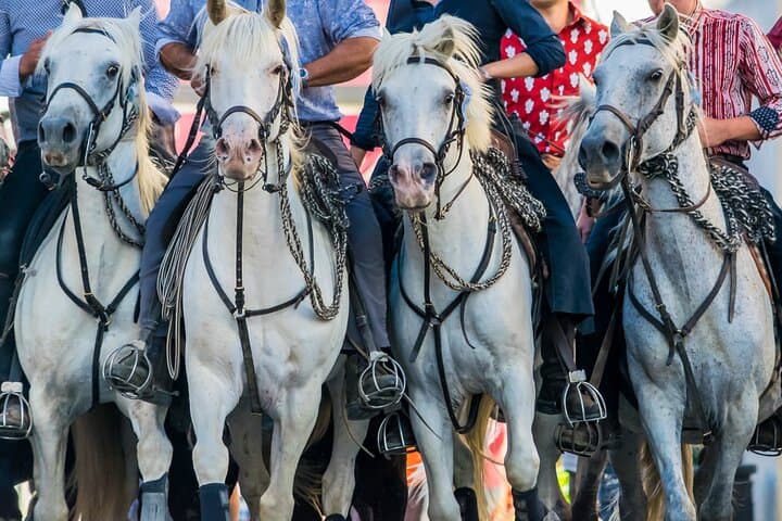 Camargue's folklore