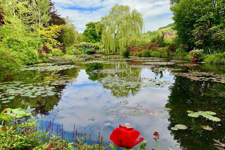 Monet's Lily
Pond