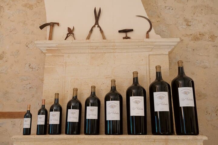 Discovery visit of Château Rol Valentin with tasting