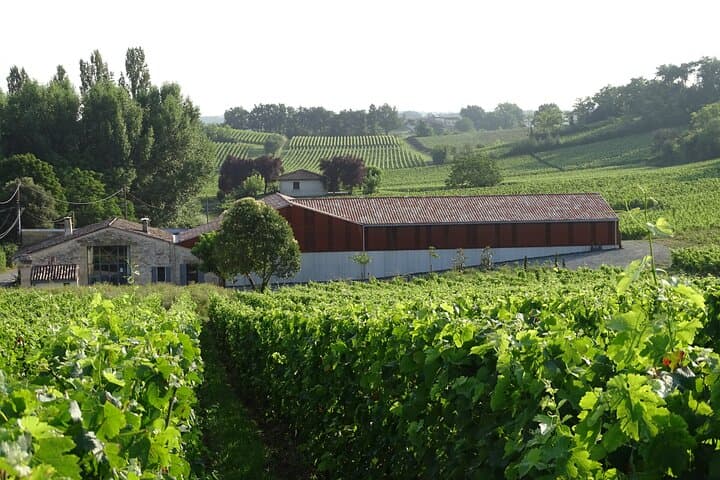 Discovery visit of Château Rol Valentin with tasting