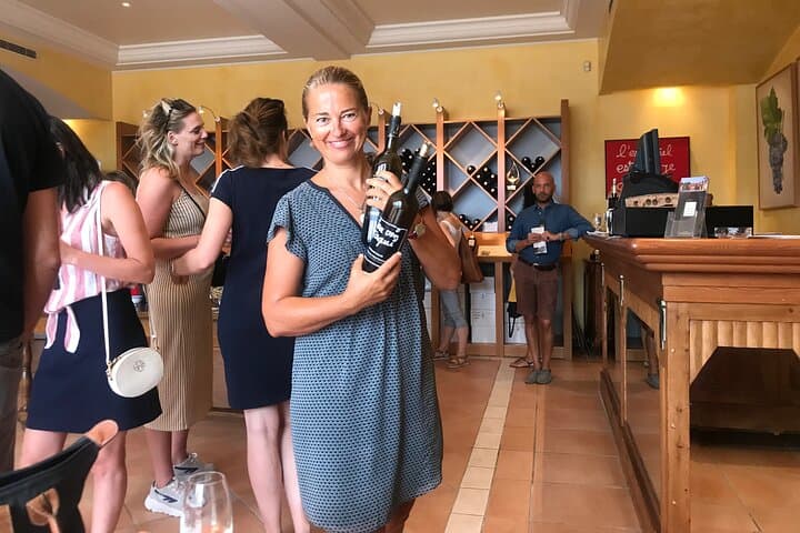 Semi Private Organic Wine & Food Tasting Tour (From Nice)