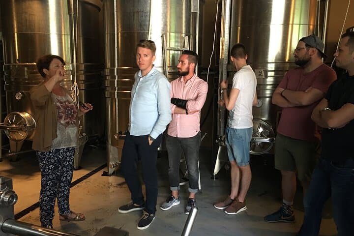 Semi Private Organic Wine & Food Tasting Tour (From Nice)