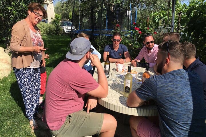 Semi Private Organic Wine & Food Tasting Tour (From Nice)