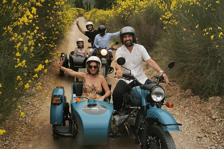 From Aix-en-Provence: Sidecar Day Tour with Wine tastings