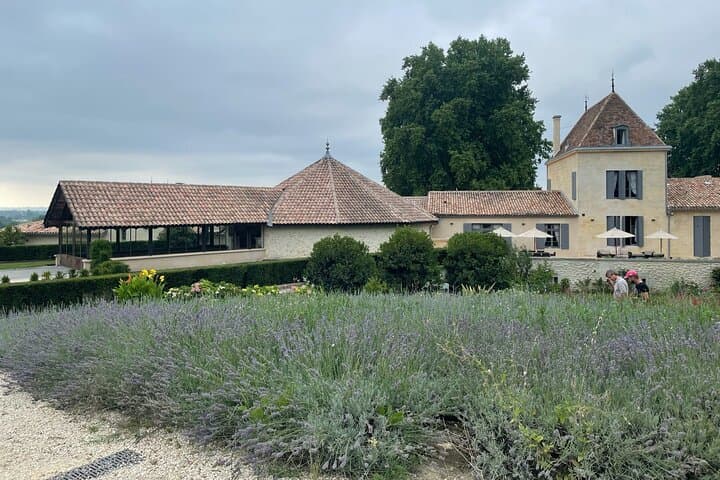 Private Tour in St-Emilion: Tours of Grand Crus and the village