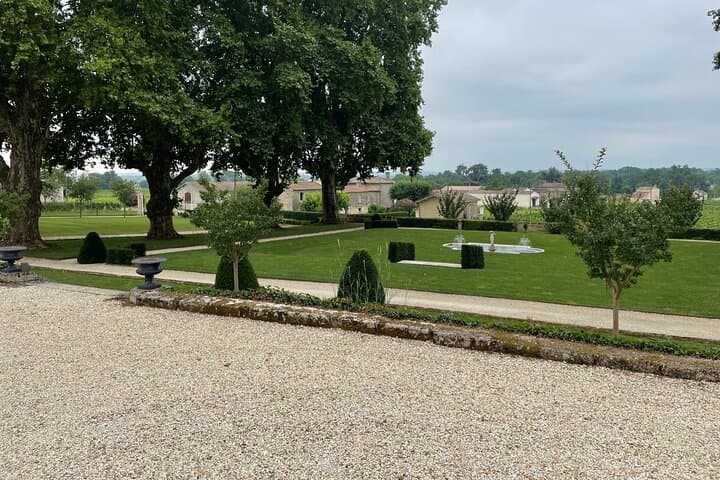 Private Tour in St-Emilion: Tours of Grand Crus and the village
