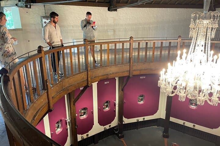 Private Tour in St-Emilion: Tours of Grand Crus and the village