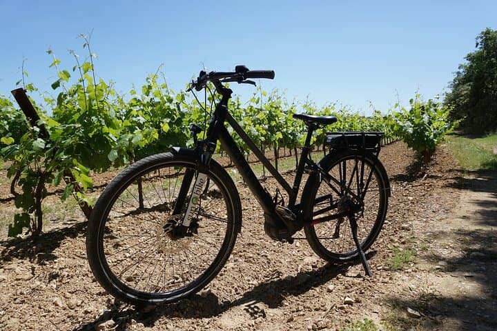 Full day E-Bike rental around the Mont-Ventoux