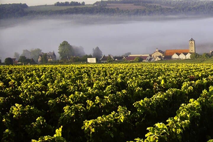 Champagne region