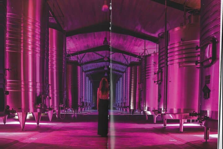 1-Day Private Wine Tour in ST-Émilion cellar circuit