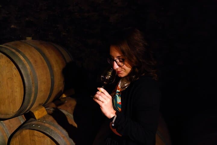 Full Day Guided Wine Tour with Tasting and Lunch