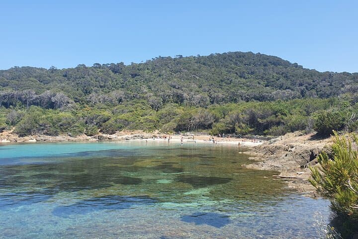 Private 11m boat trip Côte de Hyères to Port Cros