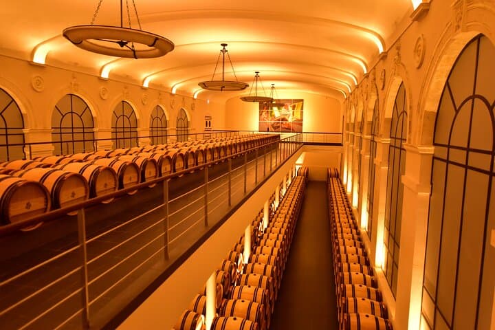 Private Tour in Saint-Emilion: Underground Monuments and Grands Crus Tasting