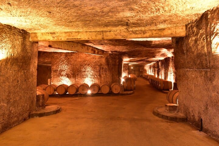 Private Tour in Saint-Emilion: Underground Monuments and Grands Crus Tasting