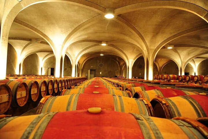 Private Tour on the Route des Grands Vins du Médoc with Visits and Tastings