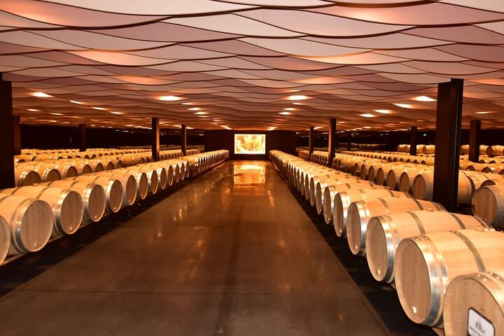 Private Tour on the Route des Grands Vins du Médoc with Visits and Tastings