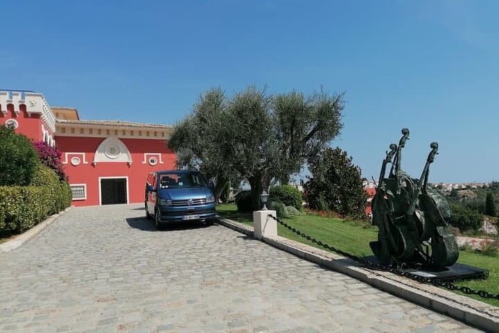 Provence Organic Wine Small Group Half Day Tour with Tastings from Nice