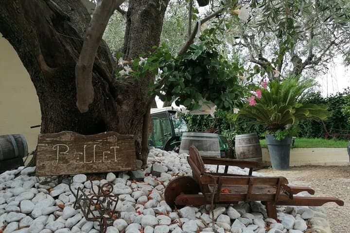 Provence Organic Wine Small Group Half Day Tour with Tastings from Nice