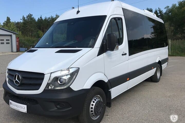 Full-Day Private Van Tour in Paris