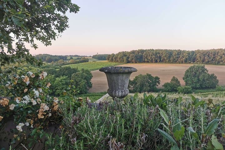 Simple Visit to Discover the Domaine d'Arton