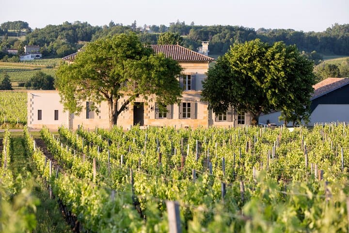 Château in Saint-Emilion