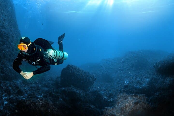 Full-Day Snorkeling and Guided Dive in the Calanques National Park from Marseille