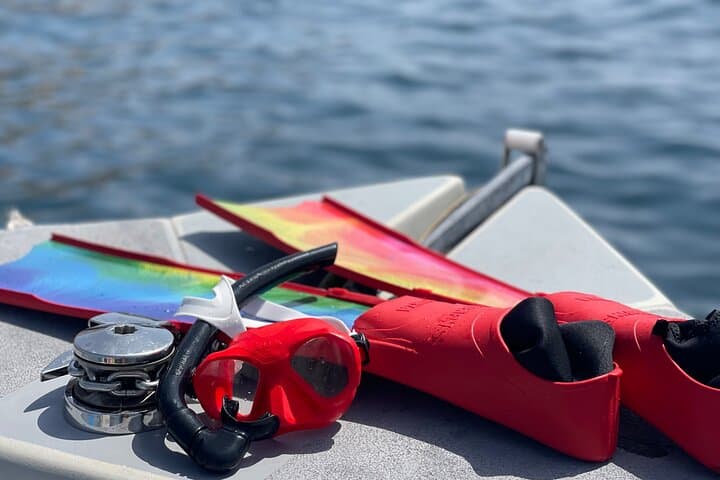 Private 3-Hour Snorkeling Tour near Monte Cristo from Marseille with Guide