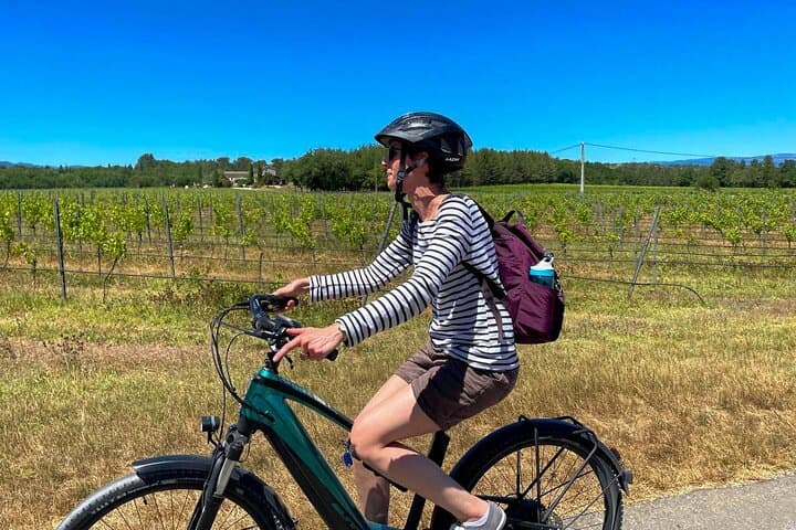 Stroll between the vines in an electric VTC