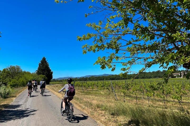 Discovery of the vineyards of southern Ardèche