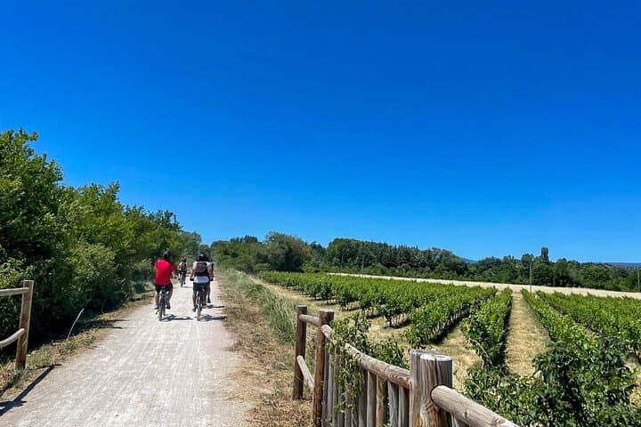 GPS guidance with interactive wine-themed content