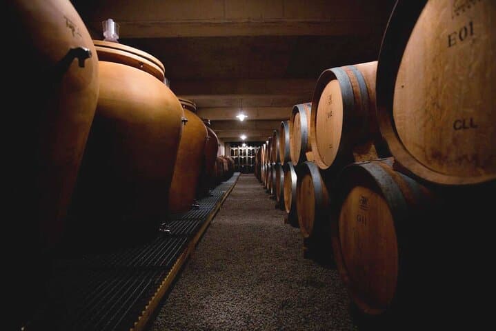 Visit of an exceptional organic wine estate accompanied by a tasting of its best wines