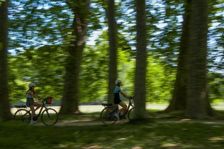 ComhiC 2h Velo electrique - Parc de la tete d'or