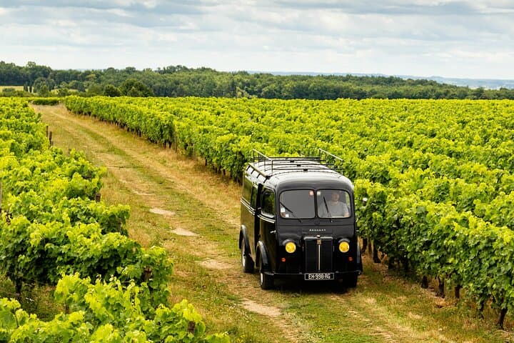 Tasting Bourgoin Cognac the real winegrower's cognac