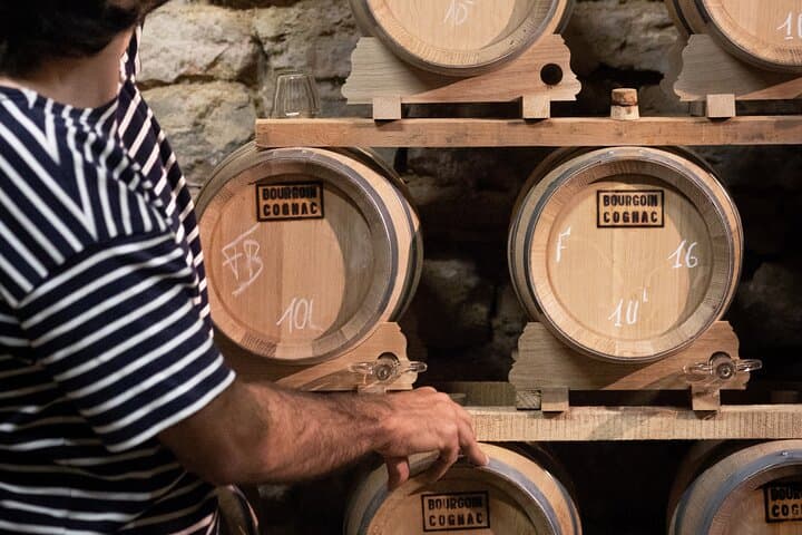 Tasting Bourgoin Cognac the real winegrower's cognac