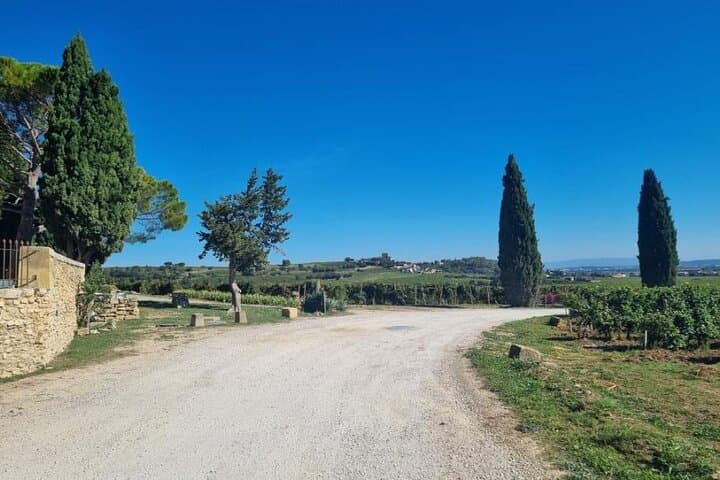 Custom Planned Chateauneuf du Pape Wine Tour with Private Driver