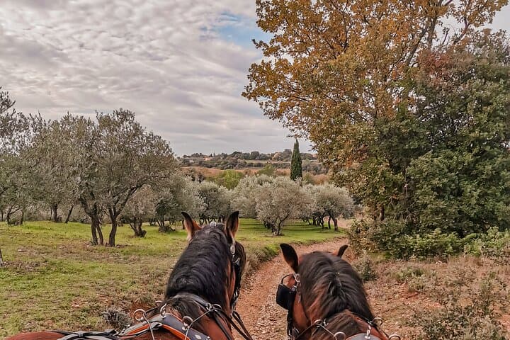 Carriage rides, Pays de Sommières
