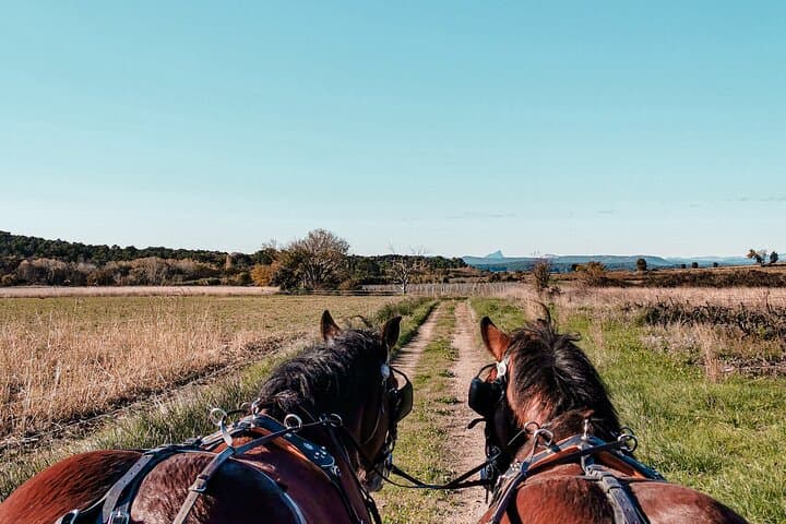 Carriage rides, Pays de Sommières