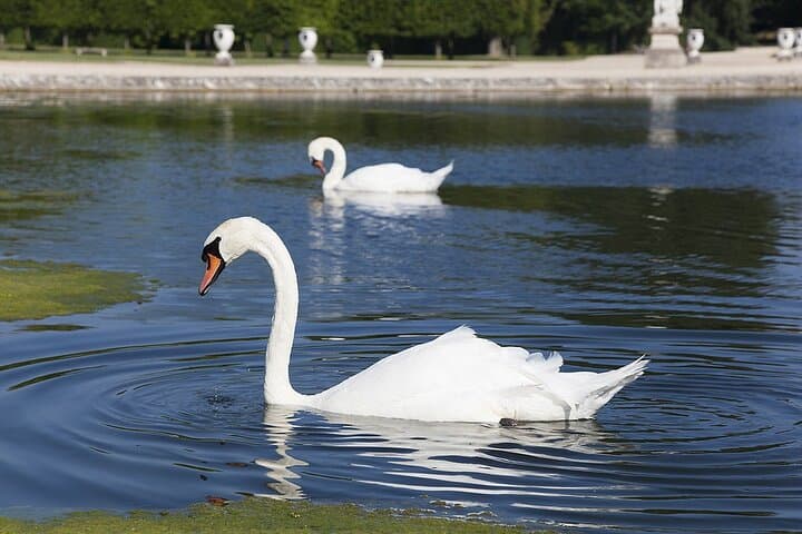 Full-Day Private Chantilly Castle Tour from Paris