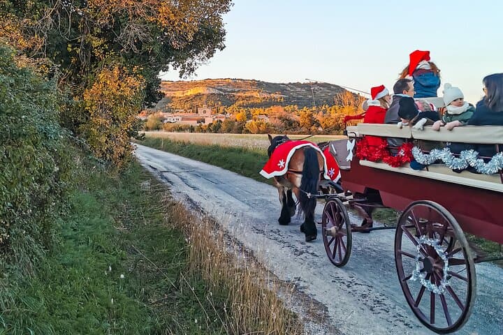 Carriage rides, Pays de Sommières
