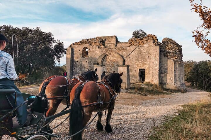 Carriage rides, Pays de Sommières