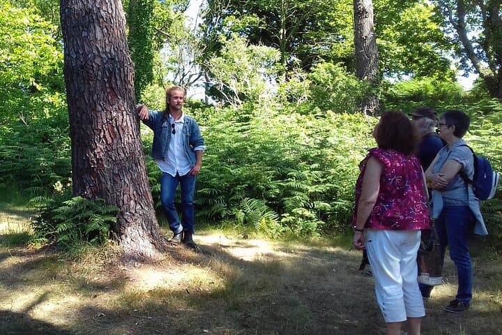Nature walk to discover Brehat