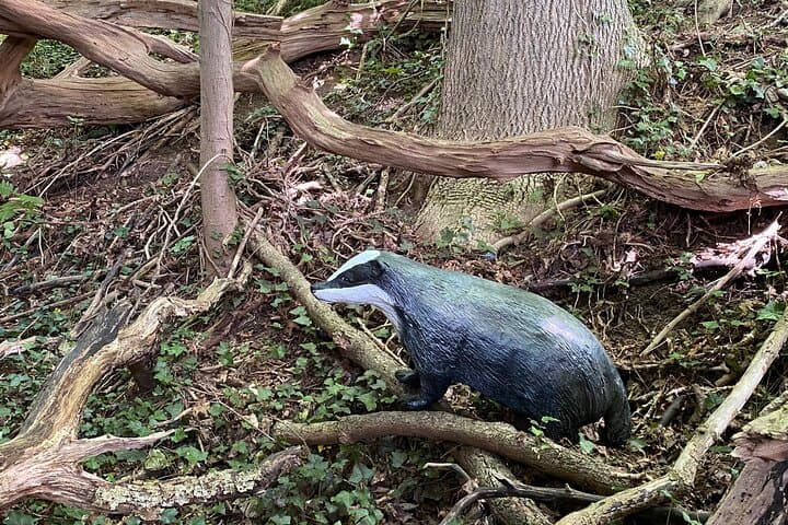 Wild animal treasure hunt