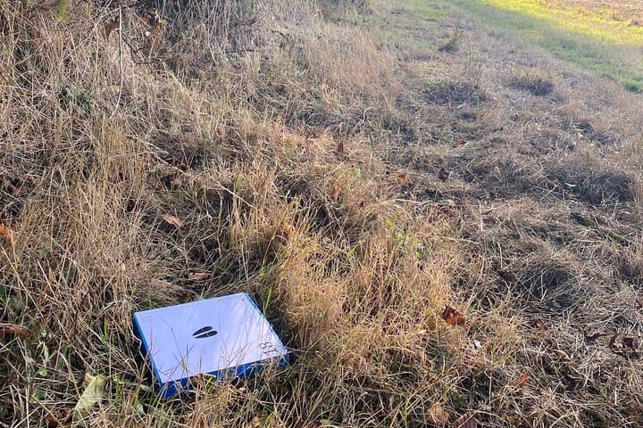 Wild animal treasure hunt