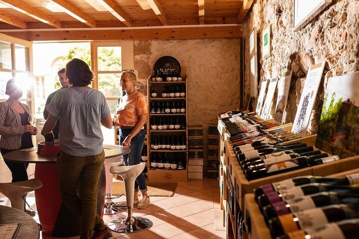 Tasting cellar