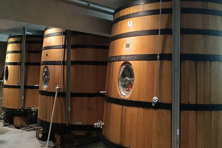 Private Full Day Tour Avignon & Wine Tasting Chateauneuf du Pape