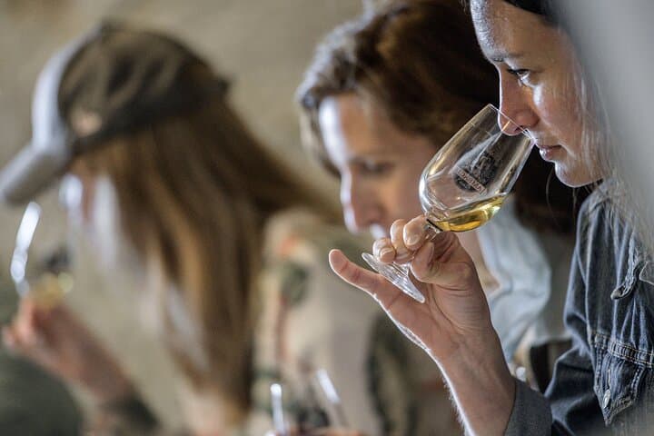 Loire Valley Wines Private Day Tour with Tastings from Tours or Amboise