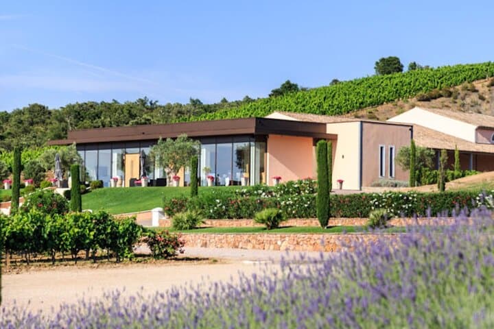 Picnic at "Château Vaudois" private tour